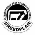 ABRI BREEDPLAN Logo